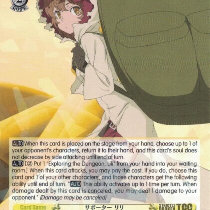 Carta WS DDM/S88-E009R SUPPORTER, LILI