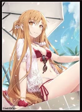 Photo by Tomato Republic Chile on February 12, 2022. An anime-style image of 1 card sleeve